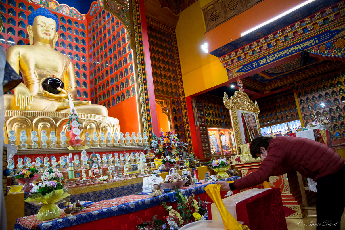 Offering a kata to the Buddha - Gendun Rinchen